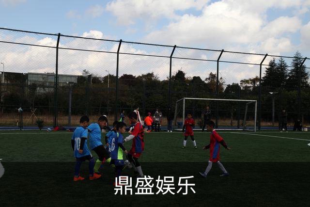 鼎盛娱乐公司简介
